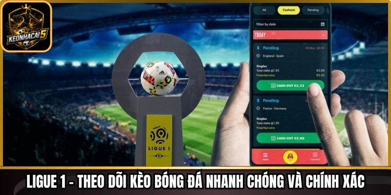 Ligue 1 - Theo dõi kèo bóng đá nhanh chóng và chính xác