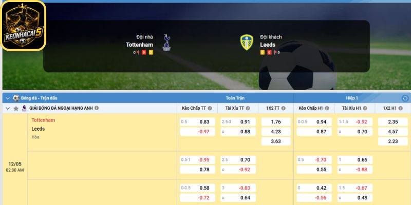 Kèo châu Á trận Tottenham Hotspur vs Leeds United (02:00 12/05 | Ngoại Hạng Anh)