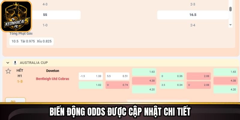 Biến động Odds được cập nhật chi tiết