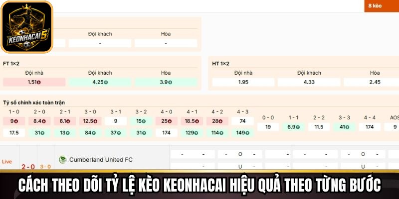 Cách theo dõi tỷ lệ kèo Keonhacai hiệu quả theo từng bước